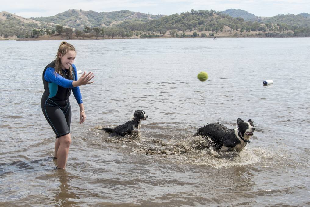 No change in sight: Maddie Dadd found refuge from the heat in Chaffey Dam over the weekend as climatologists forecast at least another month of hot and dry conditions. Photo: Peter Hardin