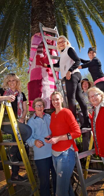 Members of the Serendipity Committee have been fighting for years to get Tamworth a full time breast care nurse in Tamworth. Photo: Geoff O’Neill 270915GOA01