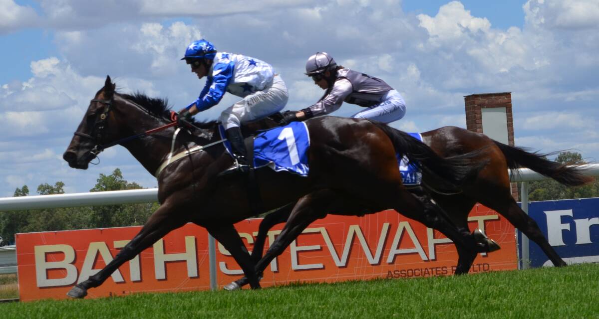 Future star: Ameridon lives up to its breeding as the two year old progeny of Group 1 winner All American pips Princess Lottie in Tamworth on Friday. Photo: Chris Bath