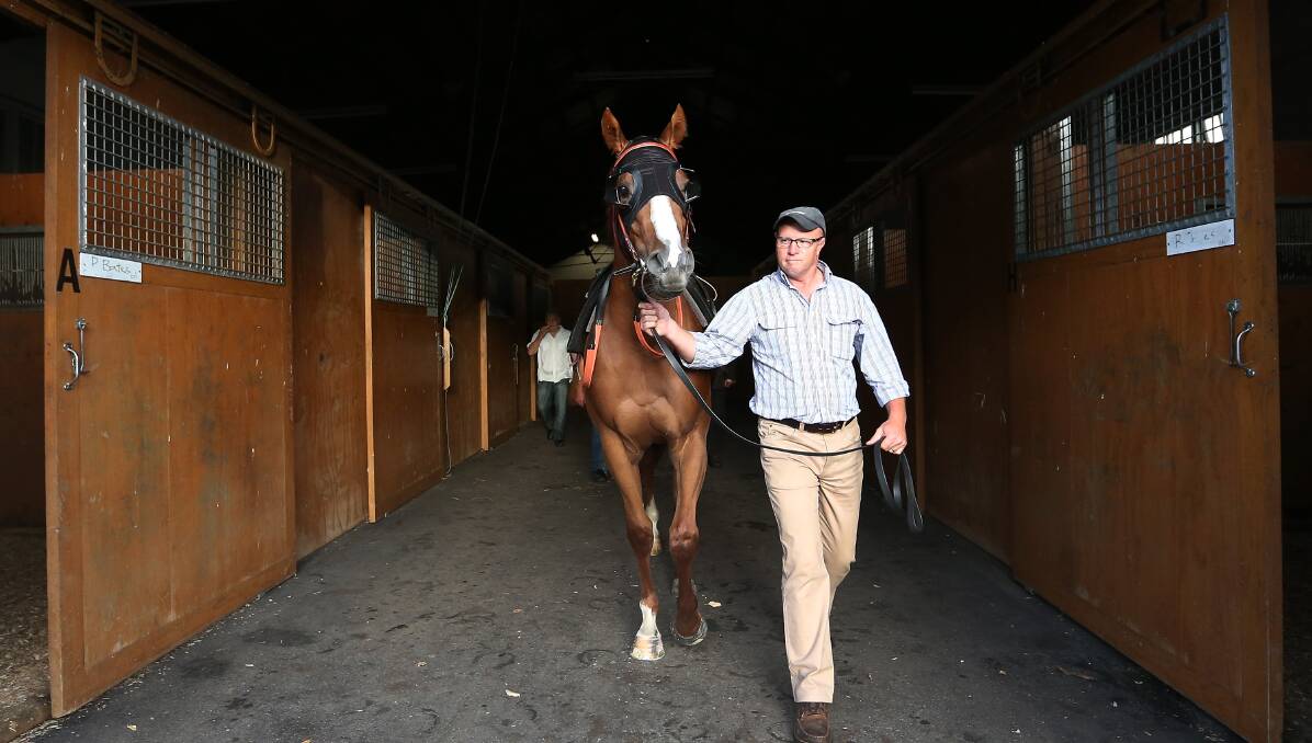 Eagle Farm to Tamworth: Group 1 winning trainer Liam Birchley is bringing the son of Emirates Stakes winner All American to Tamworth.