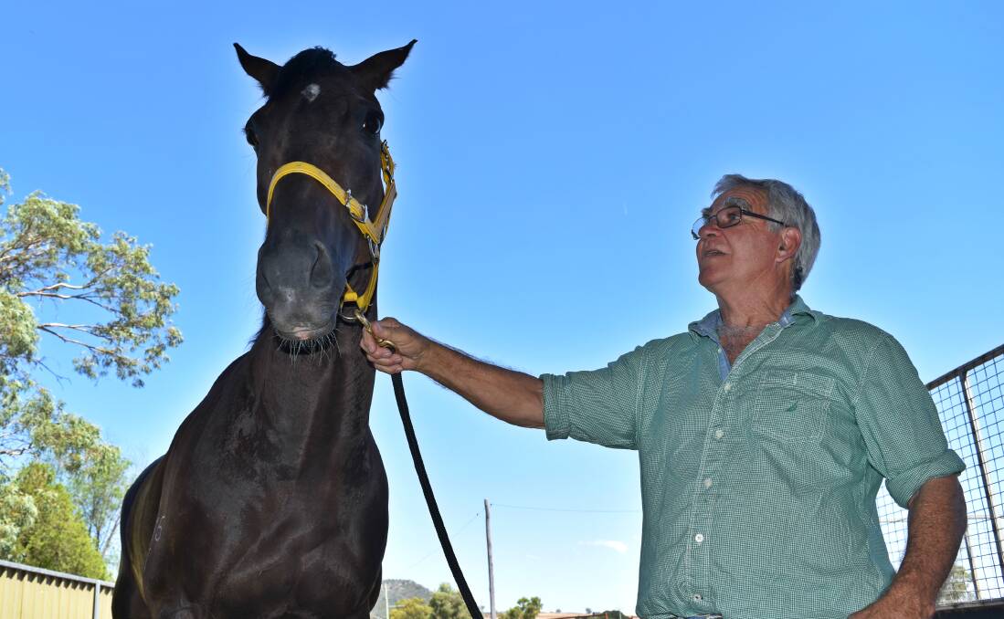 CHANCE: Rena's Lad and trainer Geoff O'Brien before the Quirindi Cup. Photo: Ben Jaffrey