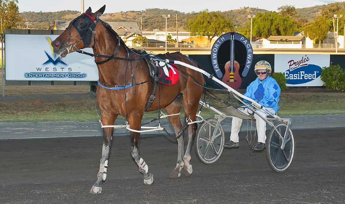 Brad Elder returns to scale with Anna Bay Al after his win.