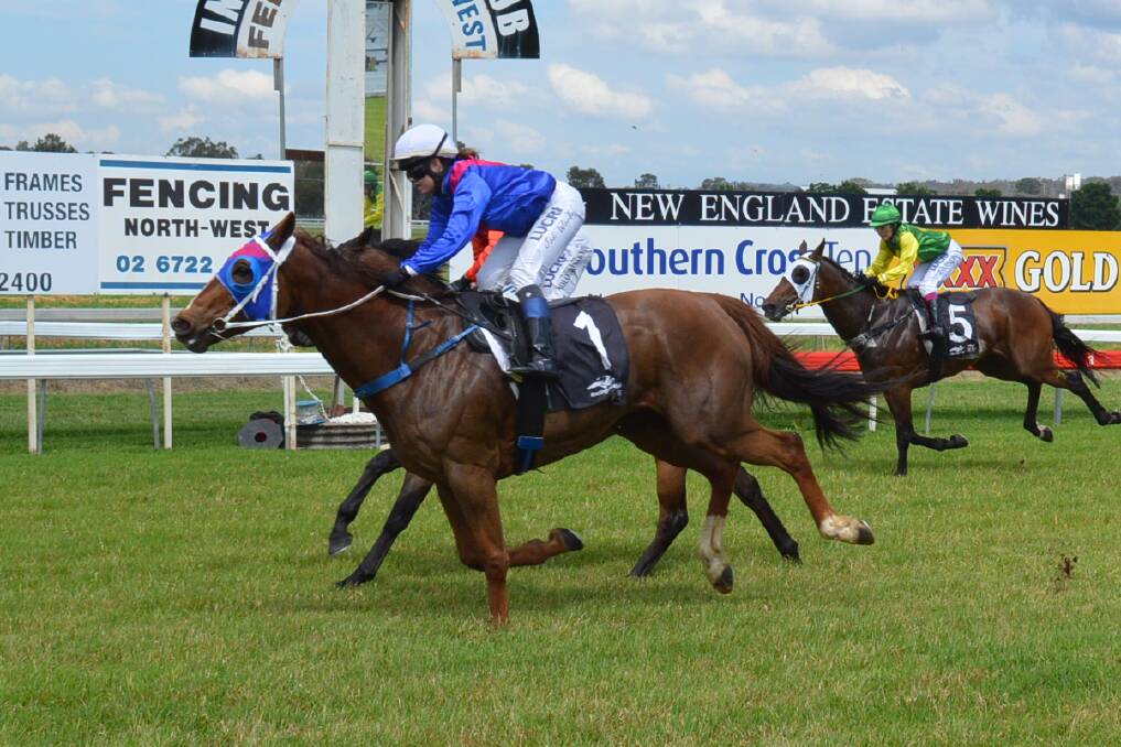 LATE CHARGE: Kingston Time crosses the line to win the feature race at the Inverell Jockey Club last year. Kingston Time will be back this Saturday to defend his crown. Photo: Harold Konz