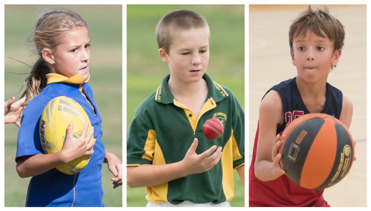 Our gallery includes photos from touch football, oztag, futsal, cricket and basketball.
Photos: Gareth Gardner and Peter Hardin