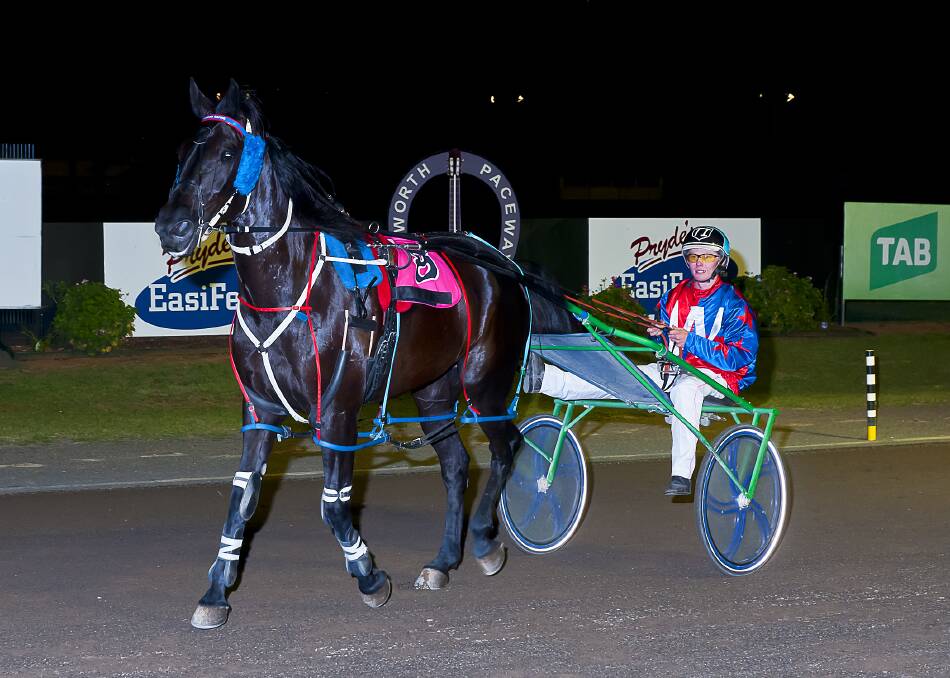 BACK IN ACTION: Midnight Montana with Tom Ison in the spider after a win at Tamworth. Photo: PeterMac Photography
