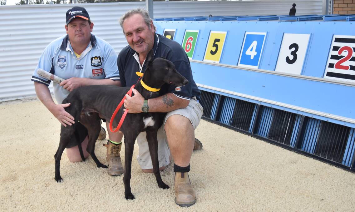 MAIDEN: Keven Kingdom and Geoff Rose with greyhound Dynamic Impact at a recent barrier trial. Photo: Ben Jaffrey