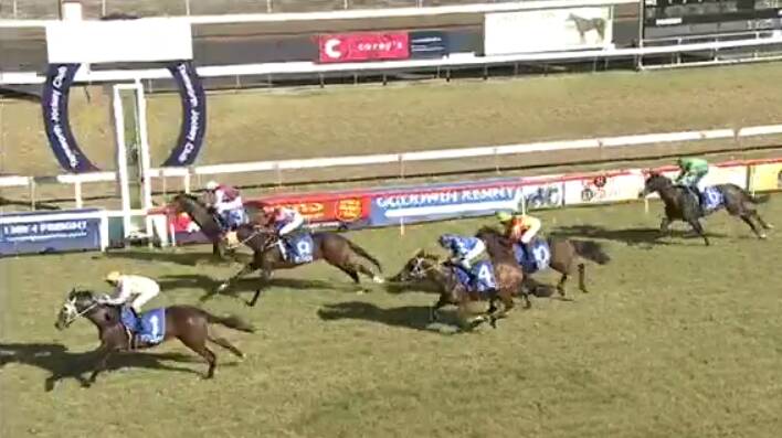 Coasting takes the win in the Shay Brennan Constructions 2YO Maiden Plate (1000m). Photo: Racing NSW