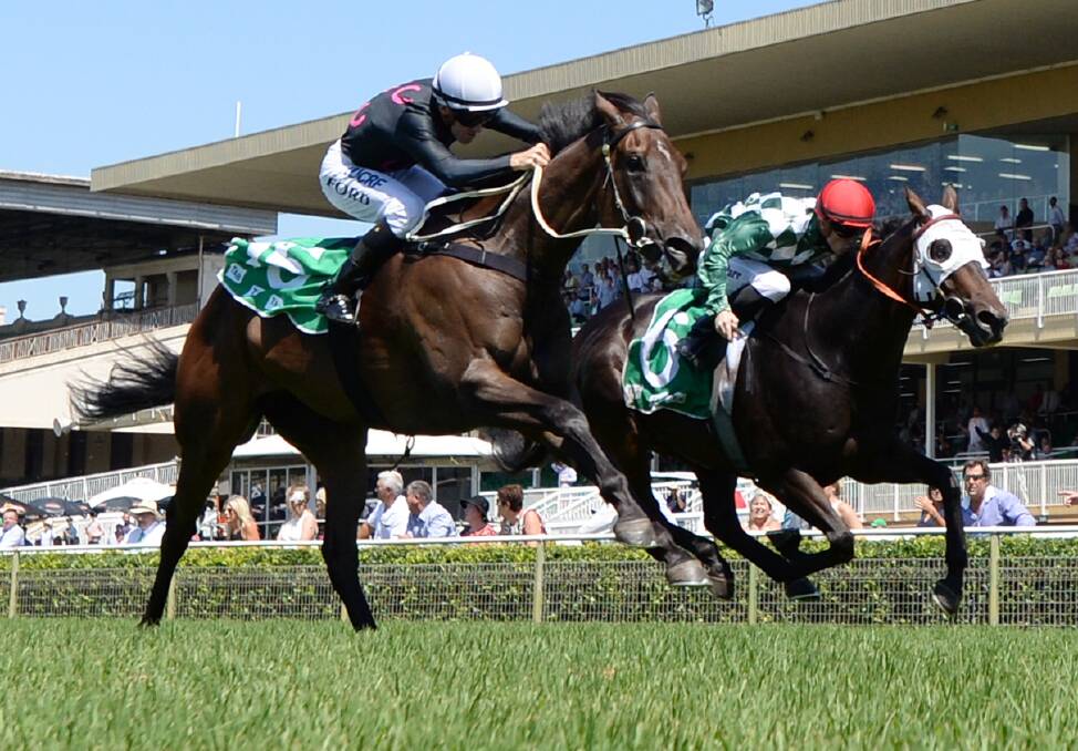 SO CLOSE: Under The Thumb (green and white silks) is just edged out by Star Boy at Warwick Farm on Saturday, February 10, 2018. Photo: AAP Image/David Moir