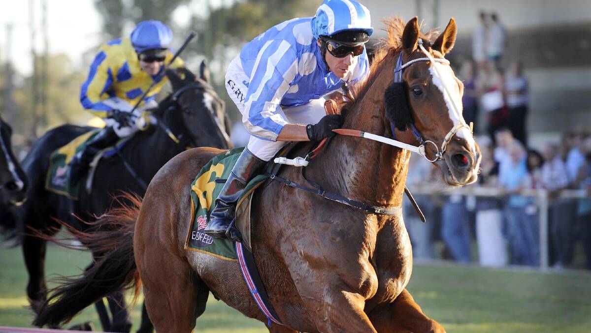 Gunnedah Jockey Club says the Gunnedah Gold Cup has grown enormously in prestige and quality since Prior Baron (pictured) won in 2010.