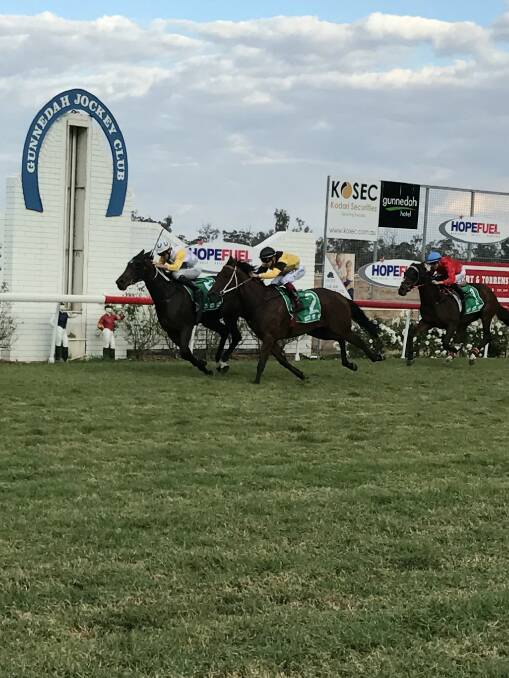 POWER FINISH: Cervinia takes out the $20,000 Bective Station Somerton Cup Benchmark 60 Handicap (1600m) at Gunnedah on Thursday.