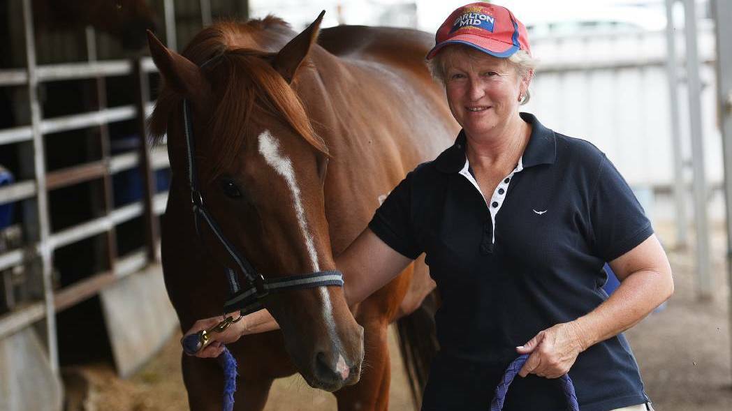 OPTIONS: Tamworth trainer Sue Grills is slated to have six runners at Sunday's Moree Cup meeting. 