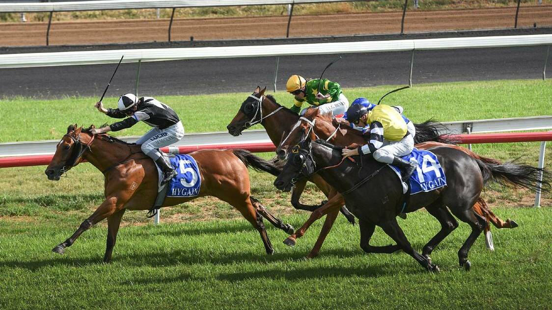 EYEING THE PRIZE: Eye on America, seen here winning at Tamworth in March, will contest Friday’s $20,000 FSDP Benchmark 65 Handicap (1200m) at Tamworth. 
