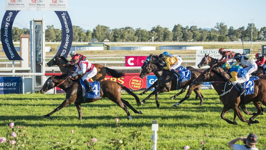 TIMELY BOOST: Timeless Prince wins the 2017 Tamworth Cup. Next year's Cup is expected to attract a better field after getting a cash injection.