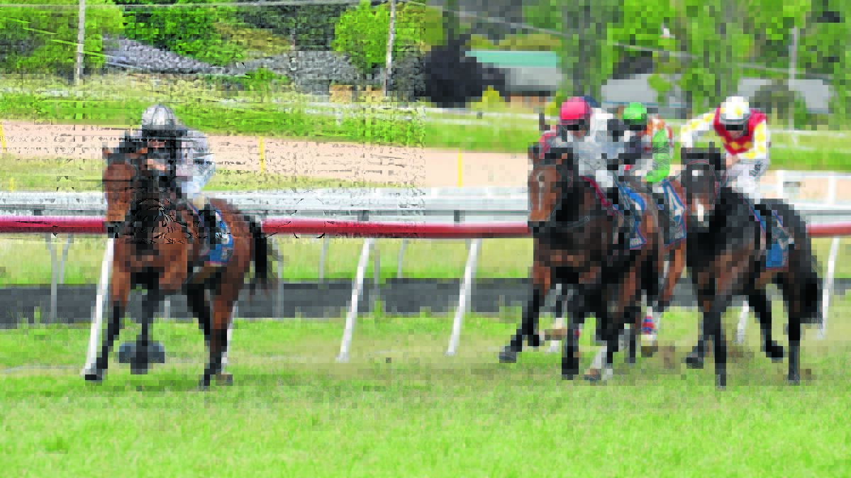 TOO EASY: Hunter and North West Racing Association apprentice Mikayla Weir won in her first ride in Sydney, steering Nic’s Vendettas to victory in the $60,000 TAB Highway Handicap (1200m) at Warwick Farm on Saturday.