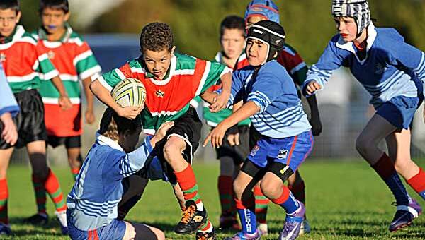 BREEDING GROUND: The Peel Schools Rugby League Carnival commences on Saturday with the primary section. 