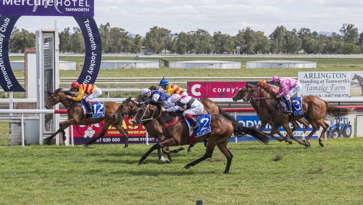 TOO GOOD: Race favourite Taken On Chance claims the Hygain Romantic Dream 2YO Plate (1000m) at Tamworth Racecourse. Photo: Peter Hardin