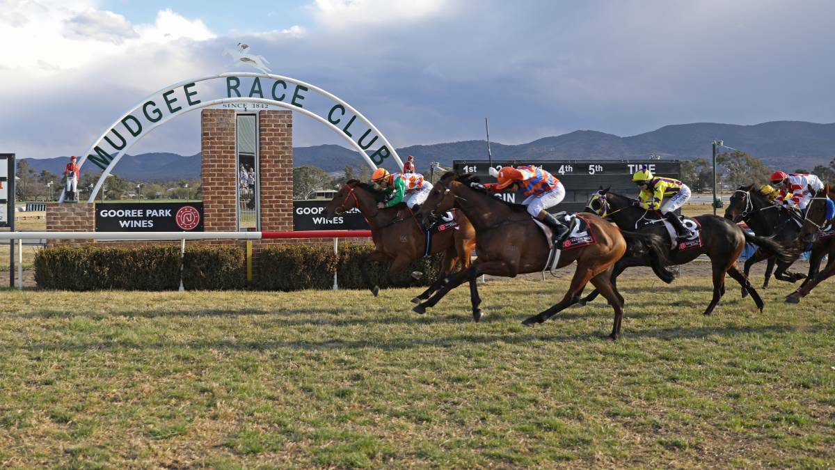 POWER FINISH: Skylimit claims the Black Nugget Cup at Mudgee on Sunday. Can he make it back-to-back wins when he contests the Spring Cup in Tamworth on Tuesday? 