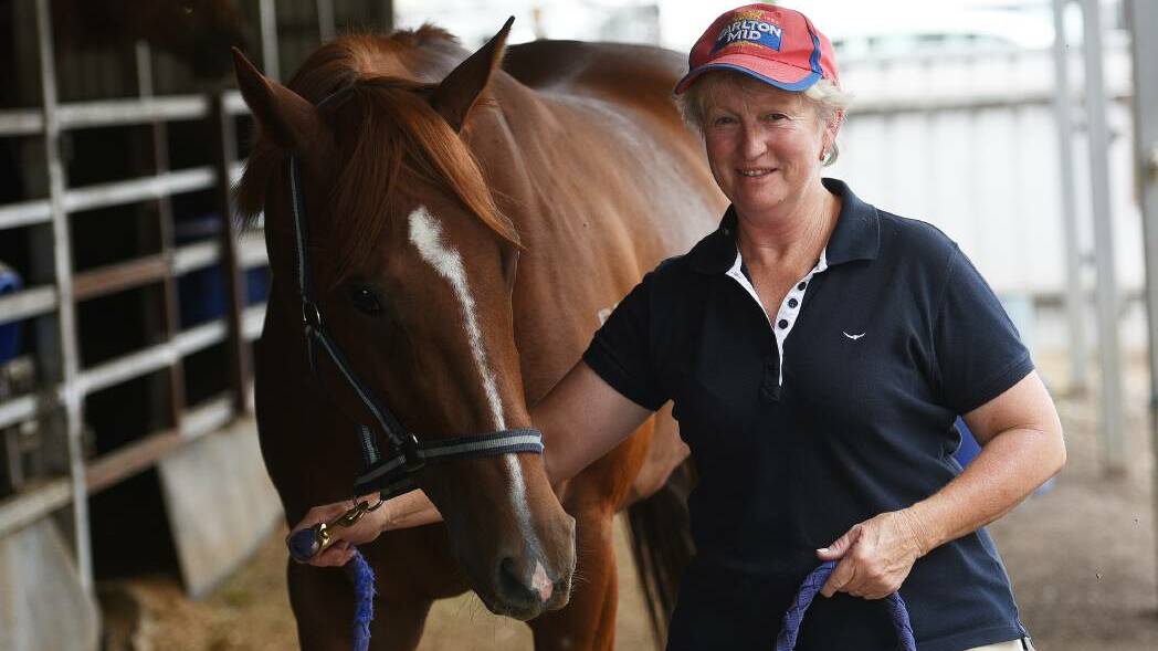BUSY: Trainer Sue Grills has two nominees in Saturday’s $10,000 Noelene Martin Memorial Benchmark 55 Handicap (1400m) at Tamworth. 