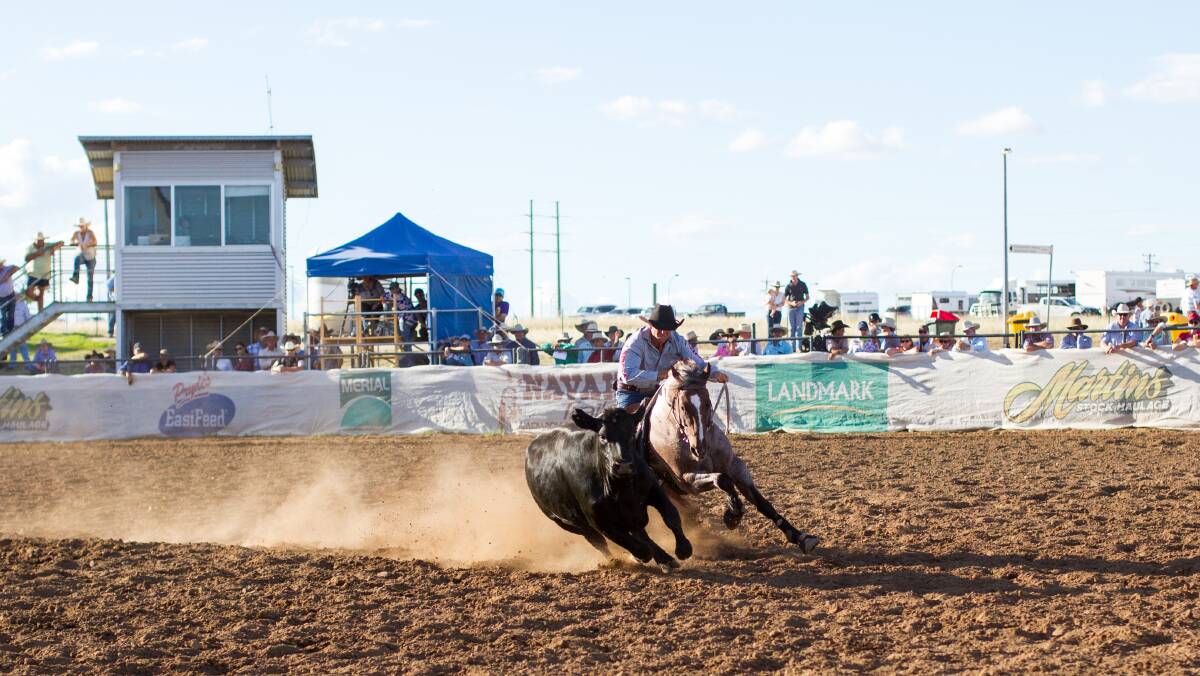 PRESTIGIOUS: The Landmark Classic Campdraft and Sale at AELEC is the "premier" event of its type in Australia. Photo: Wild Fillies Photography
