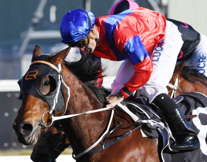 RARE FIND: Invincible Gem, ridden by Corey Brown, wins the Missile Stakes during National Jockey Celebration Day at Royal Randwick Racecourse in Sydney last Saturday. Photo: AAP