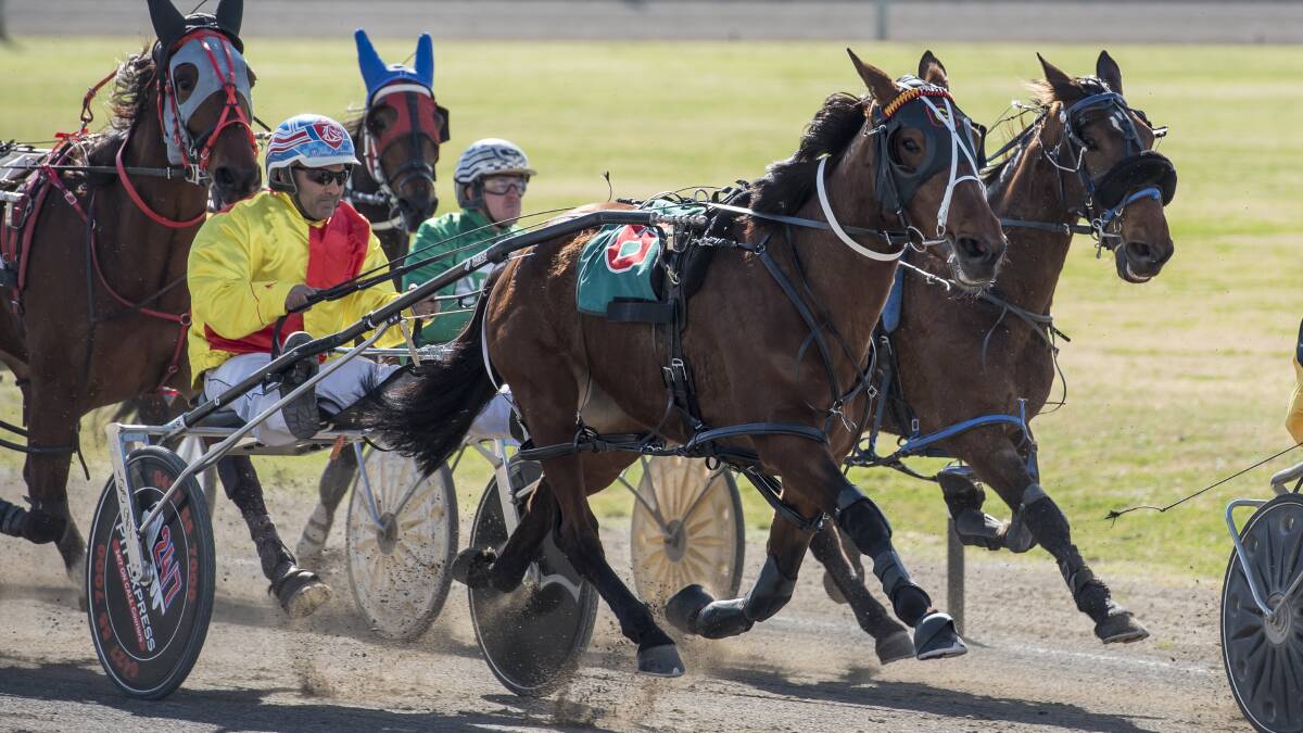 TOO CLASSY: Last Party, driven by Michael Formosa, en route to winning race one at Tamworth Paceway on Friday. Photo: Peter Hardin