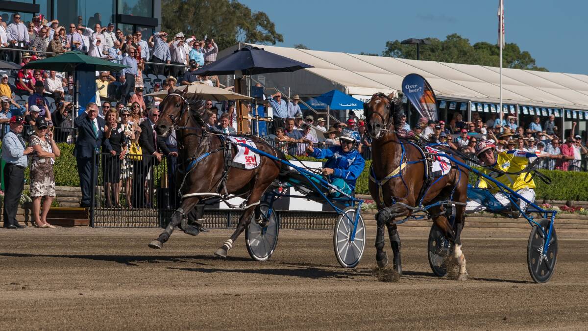 Close thing: Have Faith In Me (Natalie Rasmussen) wins by a short half head over Lennyytheshark (Chris Alford) in last year's Miracle Mile finish at Menangle. Picture: Lett Photography