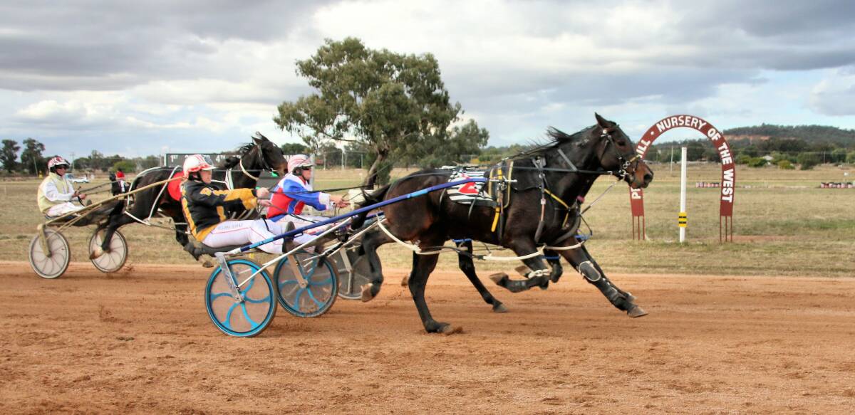 In front: Onedin Highlander wins the ladies race with Melissa Hawke in the gig. Picture: Coffee Photography.