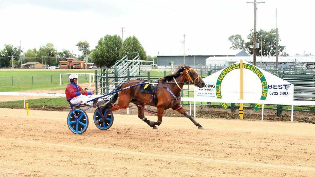 TOO GOOD: Nathan Dawson guides Invite Only to the win at Inverell last Sunday. He will be looking for some more winning drives at Armidale this Sunday.