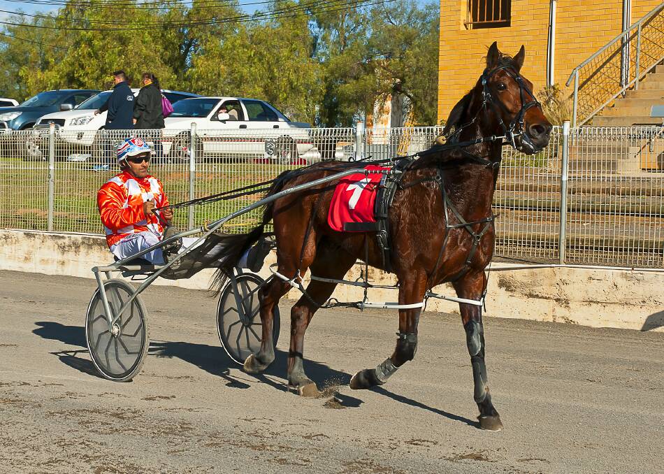 TOP EFFORT: For The Bettor after winning at Tamworth last week with trainer-driver Michael Formosa.
