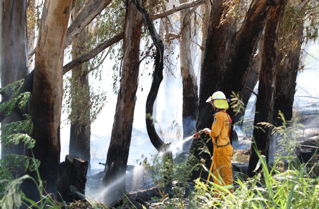 Kurt Fairfull, of Gunnedah RFS, extinguishes a blaze at Cushan's Reserve. Photo: Sam Woods