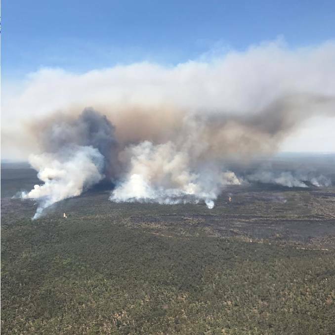 RAGING FIRE: Rural Fire Service crew battle to contain the southern edge of the bushfire burning in the Pilliga National Park in January this year. Photo: NSW Rural Fire Service