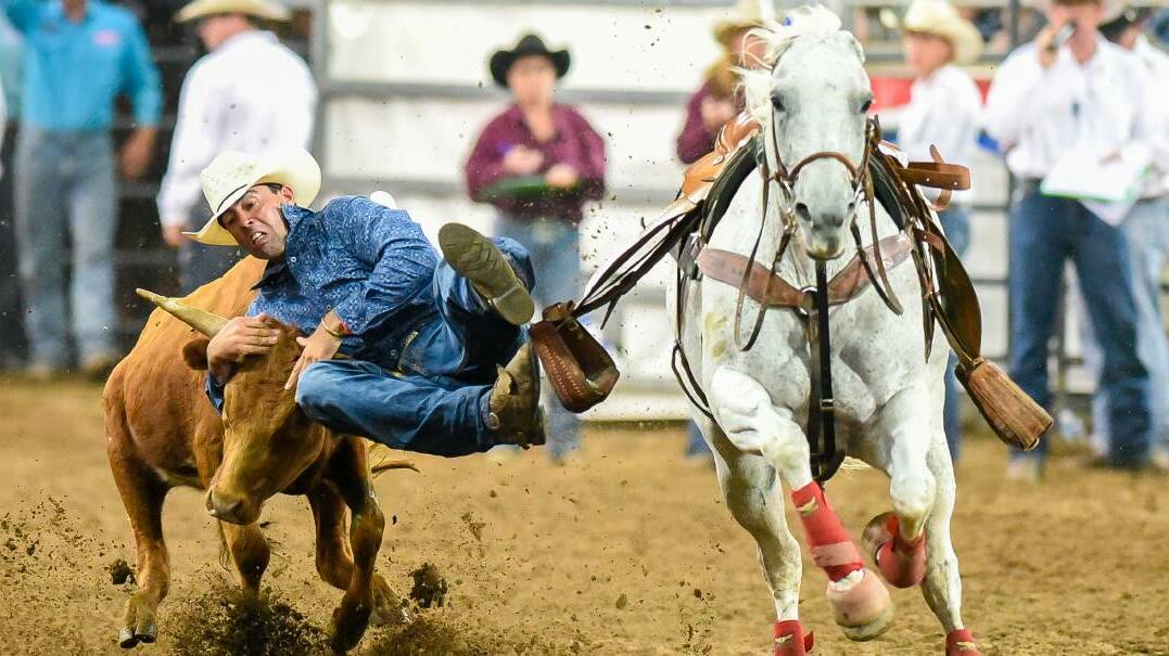 WHAT A GRIP: Tim Richardson displays a copybook technique during the Steer Wrestling at the ABCRA Nationals Rodeo. Photo: Peter Hardin