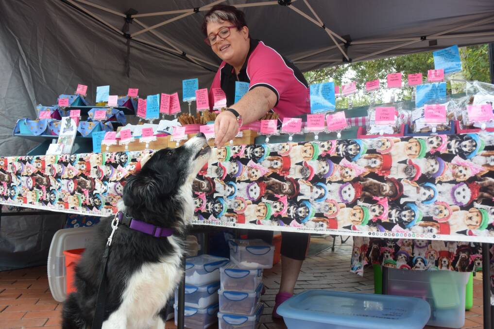 HELPING HAND: Amanda Lord, of Sophie Blue Dog Treats, gives Kappa the border collie a treat at the Peel Street Markets on Sunday. Photo: Ella Smith 