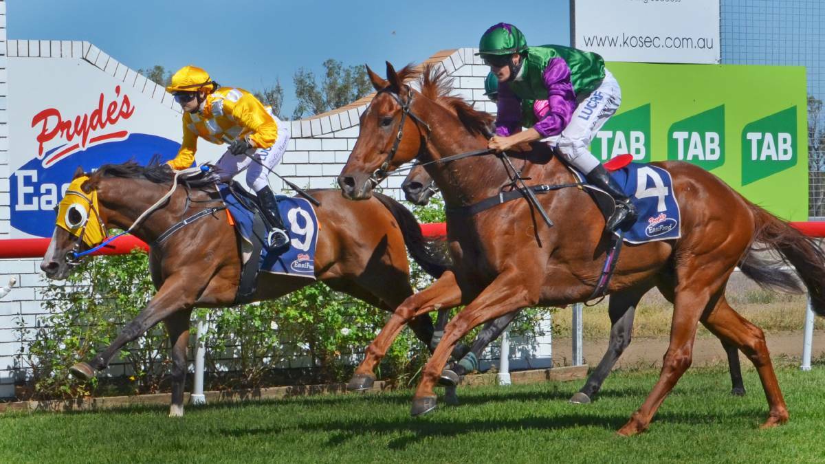 FILE SHOT: Independent Air storms to the line with Daniel Northey on board to win the Wideland Group Bad Boy Mowers Benchmark 50 in March.