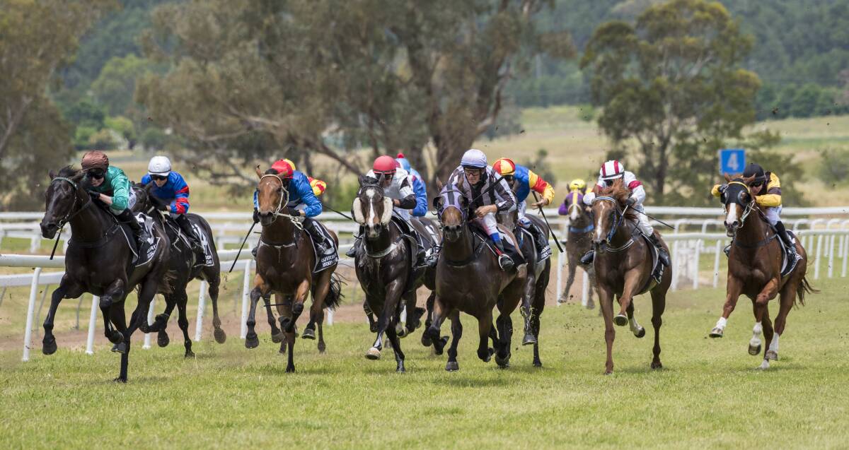 HOME STRAIGHT: Jockey Rachael Murray rides Alex Martyn-trained Gunnie Girl to victory in the 1100-metre opening race at Quirindi. Photo: Peter Hardin 081116PHA014