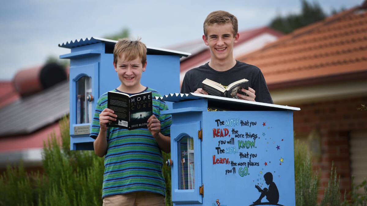 BROTHERS AND BOOKS: Nathan, 12, and Josh Carter, 14, test out their mum's new book boxes in Oxley Vale. Photo: Gareth Gardner 311216GGC03