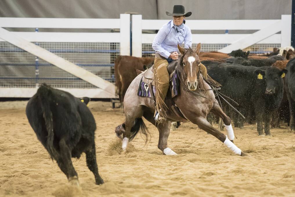 ACTION: Amelia Servin in the Non Pro Classic Challenge at the NCHA Futurity on Sunday. Photo: Peter Hardin