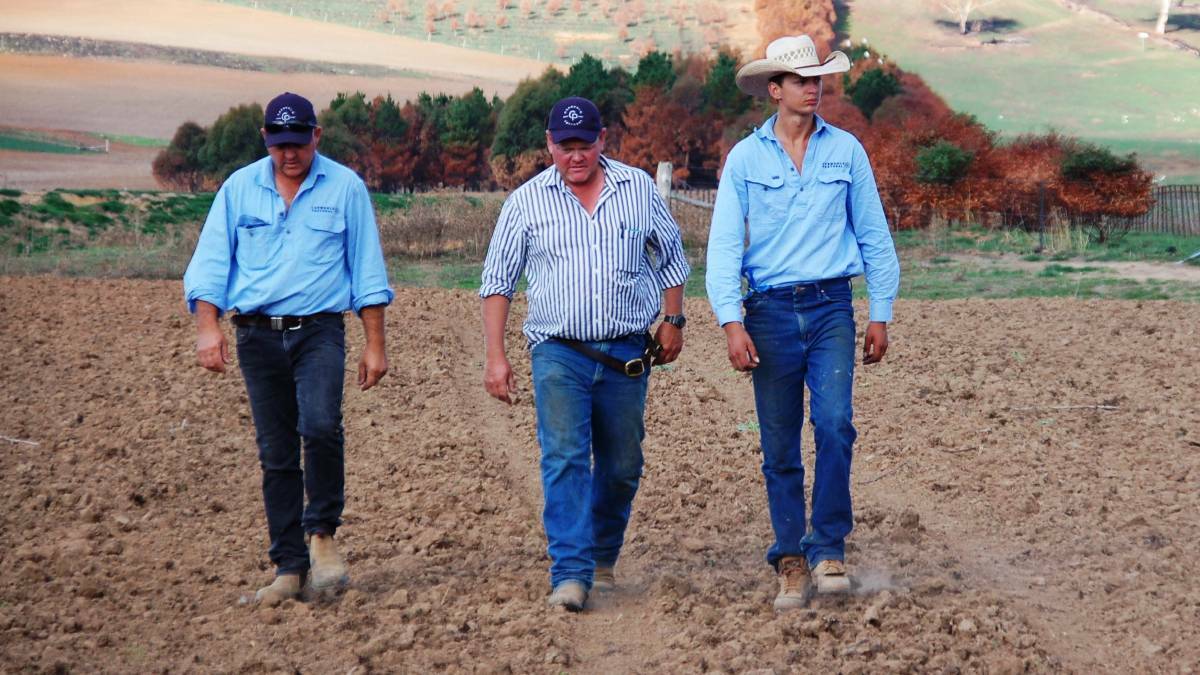 Carwoola station manager Darren Price, senior station hand Andrew Sullivan and jackeroo Bailey Burke, inspect winter wheat on a burnt area of the property.