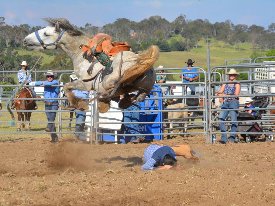 Lachlan Miller takes a tumble in the saddle bronc.