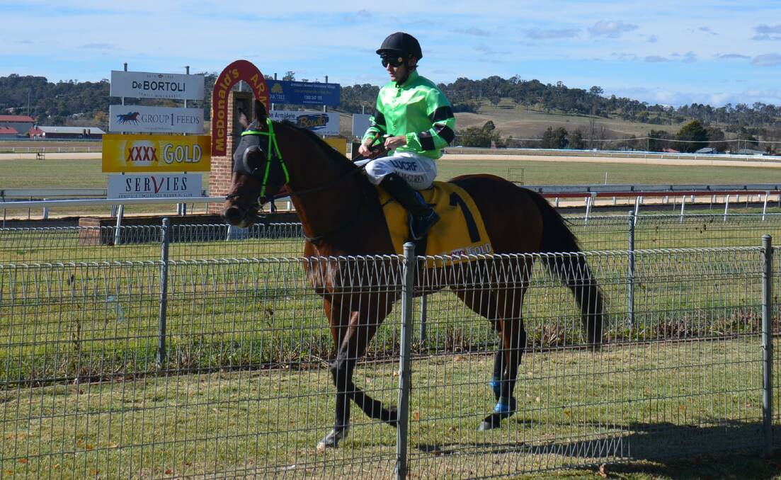 WINNER'S CIRCLE: Blaine won the fourth race of the day at Armidale Jockey Club's meeting on May 30. 