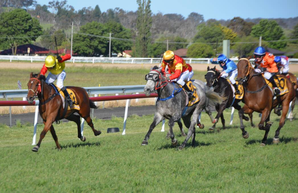On track for a cause: The Armidale Jockey Club are hosting a White Ribbon race meeting on Saturday with plenty on offer both on and off the track.