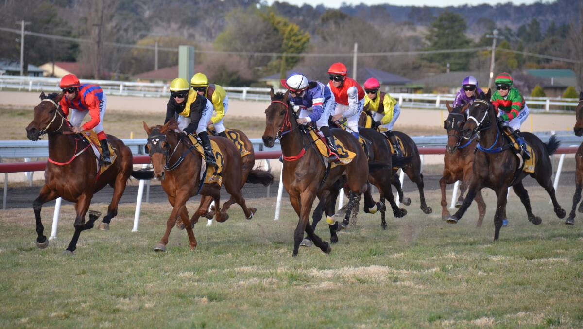 HIGH STAKES: There will be no shortage of quality horses racing in this Sunday's Armidale Showcase meet. 