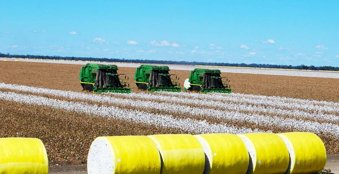 READY TO ROLL: Growers in New England and the North West are getting ready for a bumper planting for this year's cotton growing season. Photograph: Ian Jones