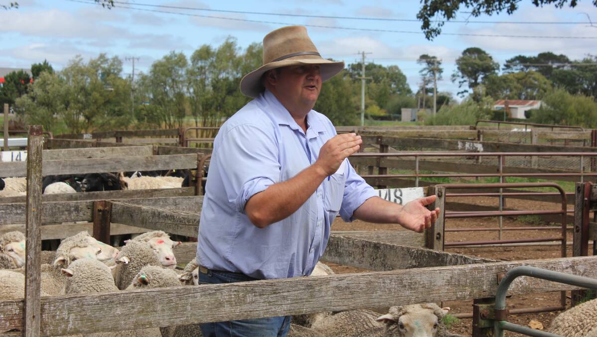 Guyra Associated Agents president Todd Clark auctioned off sheep on Wednesday.
