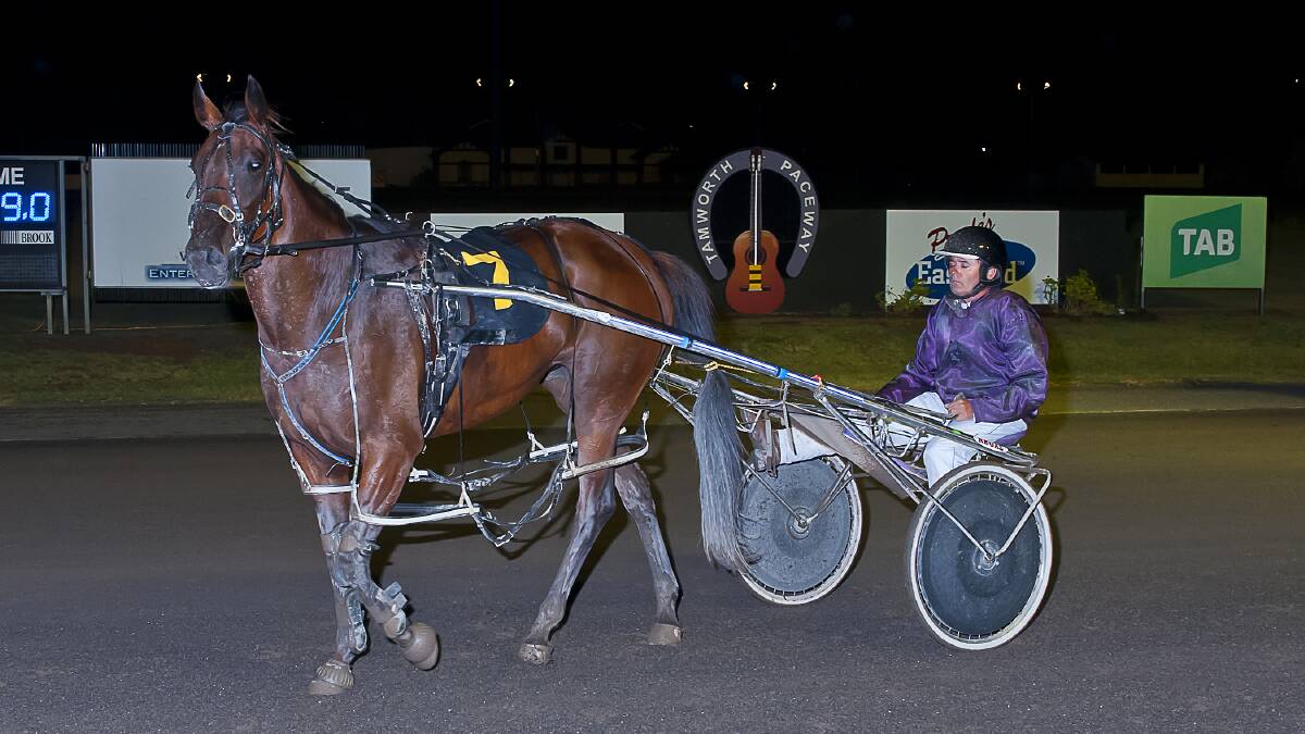 Convincing: Tact Maria, driven by Michael Grima, produced a stylish display to win at Tamworth on Sunday night for trainer Barry Schipp.
