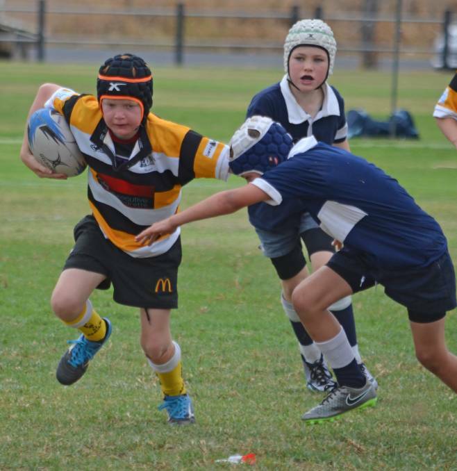 Tamworth tri-colours’ Jack Toole puts a big fend on this TAS defender at last year's National Primary Games.