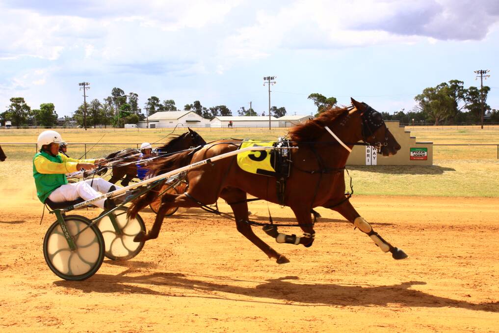 Winner: Readily produced a powerful display to win the Wee Waa Cup staged at Narrabri on Sunday. Photo: Coffee Photography, Dubbo