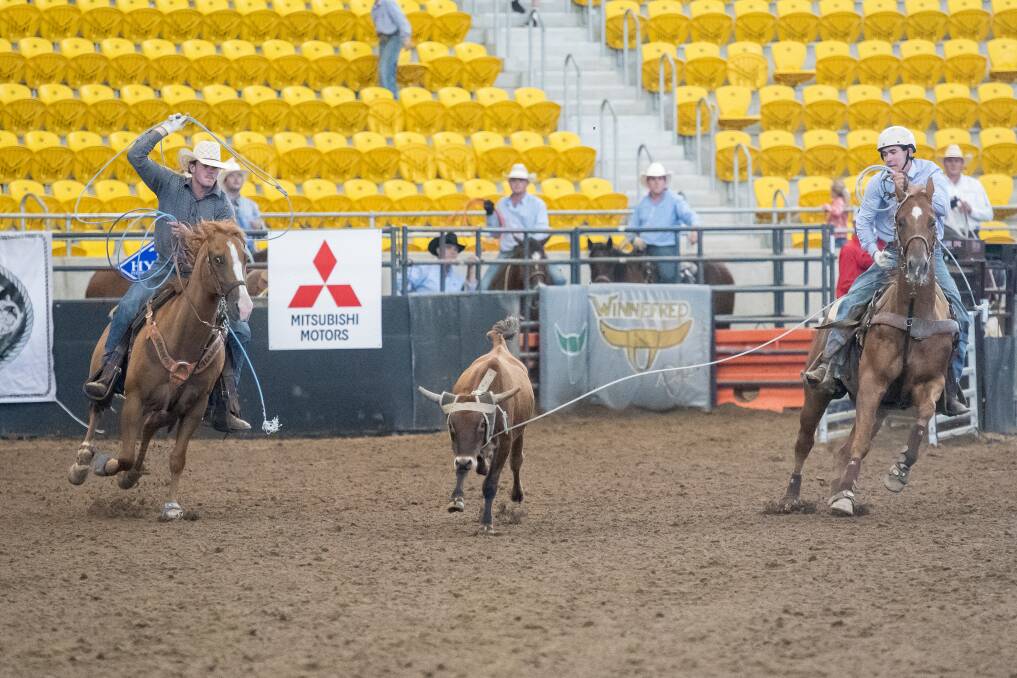 Leading the way: Darcy Kersh and Liam Davison were the first pair out of the blocks on Wednesday in the Open Roping. Photo: Peter Hardin 220217PHE008