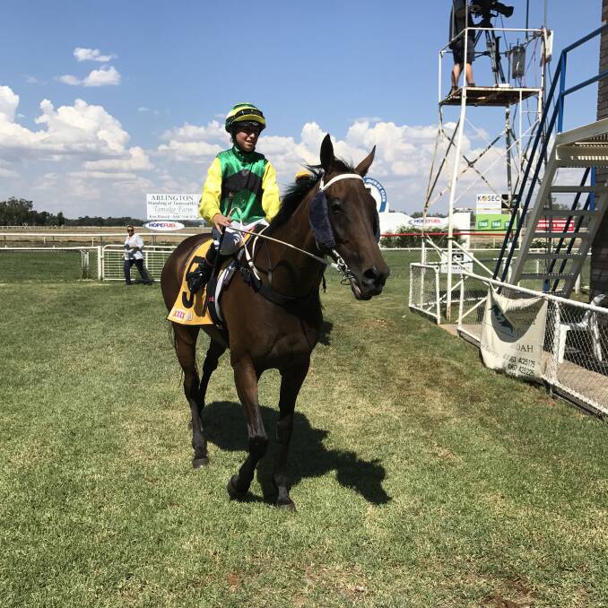 Impressive result: Inverell mare Smart Bet and apprentice jockey Melanie Bolwell return to scale after winning the Boggabri Cup (2050m) in good style at Gunnedah on Saturday.