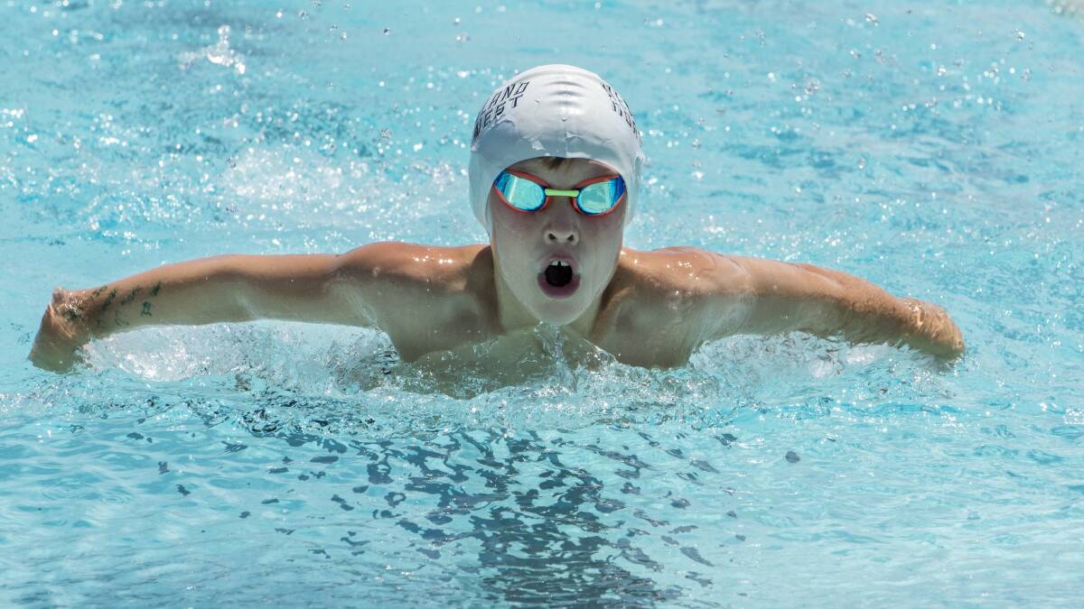Fun in the pool: Scone's Andrew Crowther was among the 250 swimmers to tackle the New England and North West Area Championships.